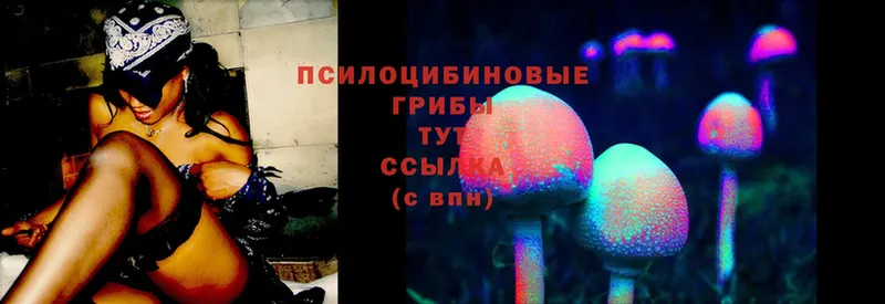 Галлюциногенные грибы Magic Shrooms  купить наркотик  Поворино 